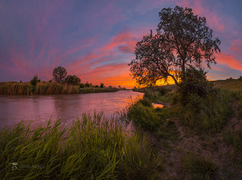 Frühlingsdämmerung / ***