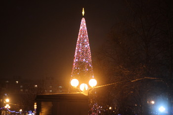 Weihnachtsbaum / ***