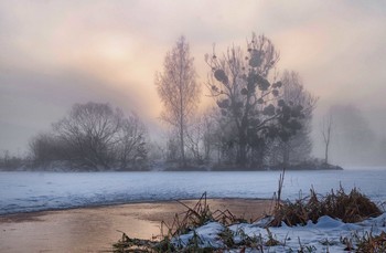 Nebliger Morgen / ***