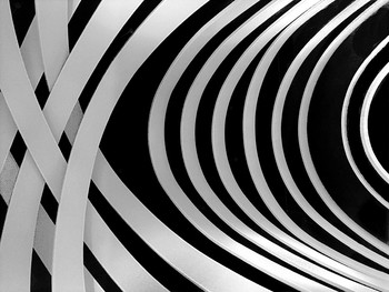 Schwarz und weiß / ...