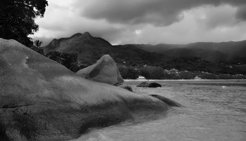 Schwarz und weiß / ***