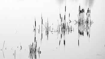 Schwarz und weiß / ***