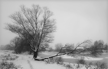 Schwarz und weiß / ***