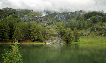 Und auf der anderen Seite ... / ***