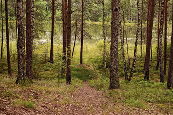 Morgen auf dem See / ***