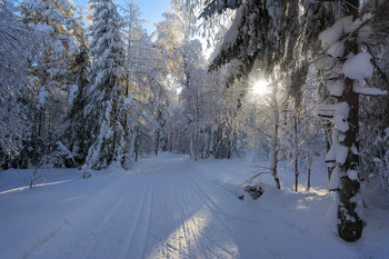 Winter-Nachmittag / ***