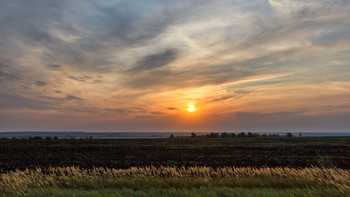 Abend auf dem Gebiet / ***