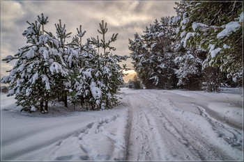 Der Winter kam / ***