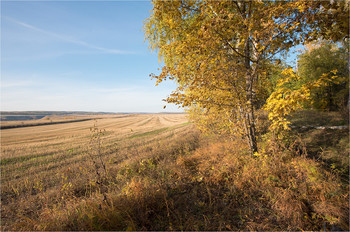 Herbst / ***