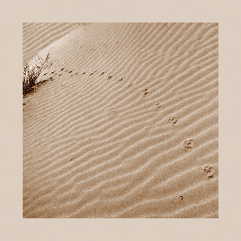 Desert ... / ***