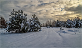 Winter Day 2 / ***