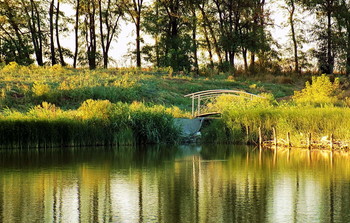 Brücke / ***