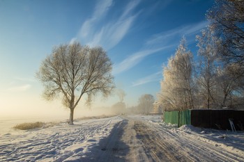 Winternebel / ***