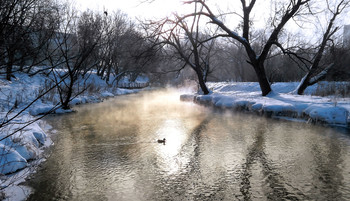 Winterlandschaft / ***