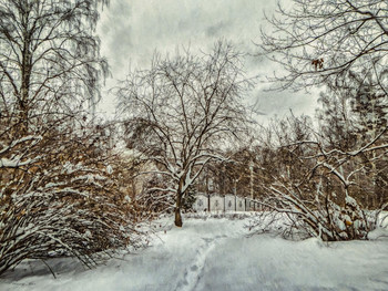 Wintertag / ***