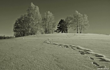 Spuren im Schnee / ***