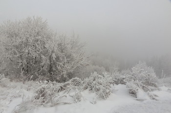 Herbst Morgendämmerung / ***