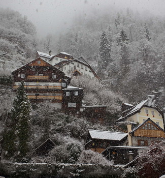 Winter / ***