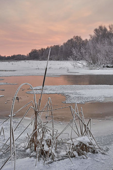 Winterdämmerung / ***