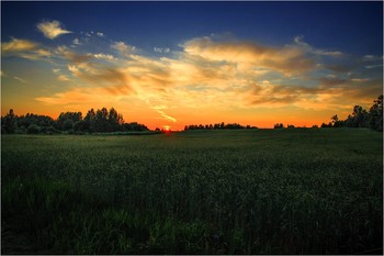 Bei Sonnenuntergang / ***