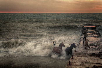 Abendstimmung am Meer / ***