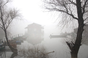 Nebel auf dem Fluss / ***