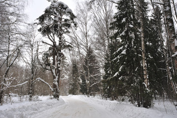 Forststraße / ***