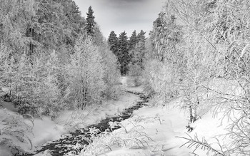 Winter river / ***