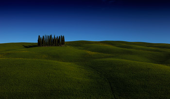 _||||| / Italy, Tuscany