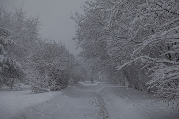 und der Schnee geht ... / ***