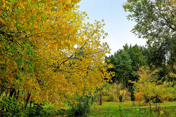 Herbst-Landschaft / ***