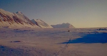 Der Winter kam / ***