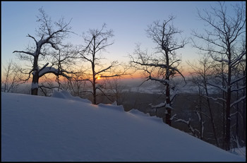 Sonnenaufgang im Wald / ***