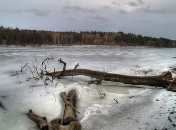 Tauwetter / [img]https://i.imgur.com/hpvz1pF.jpg[/img]
[img]https://i.imgur.com/MMaQnAr.jpg[/img]
