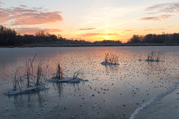 Frostigen Morgen. / ***