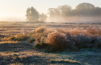 Herbst-Skizzen / ***