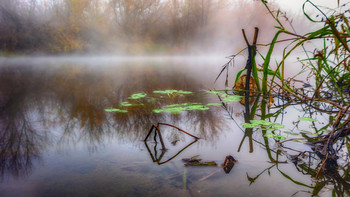 Muster auf dem Wasser / ***