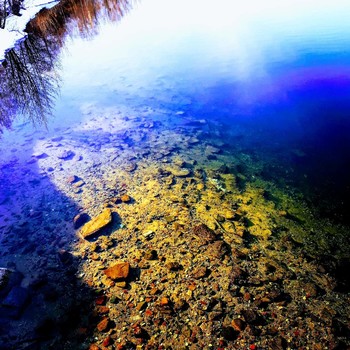 Auf dem See / ***