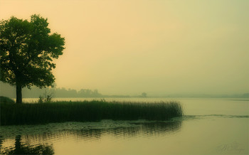 Morgendämmerung / ***