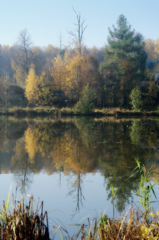 Am Teich / 2018