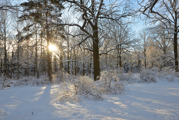 Sonnenaufgang über dem Fluss / ***