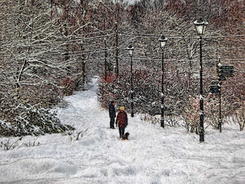 Im Winter Park / ***