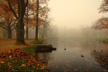 Herbst / ***