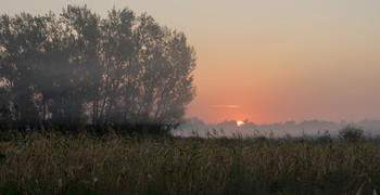 Herbst / ***