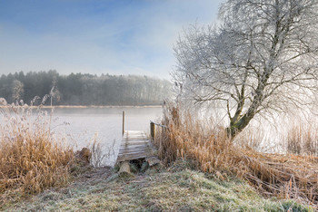 frosty morning / frosty morning