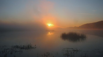 Herbstnebel. / ***