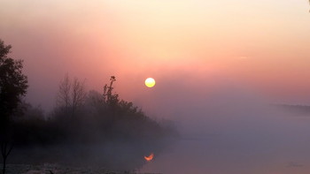 Herbstmorgen. / ***