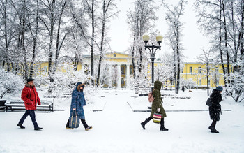 Winter / ***