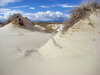 White Sands / ***