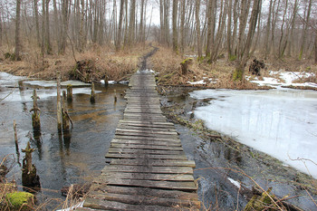 Brücke / ***